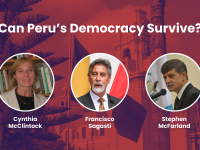 Peru Democracy flyer