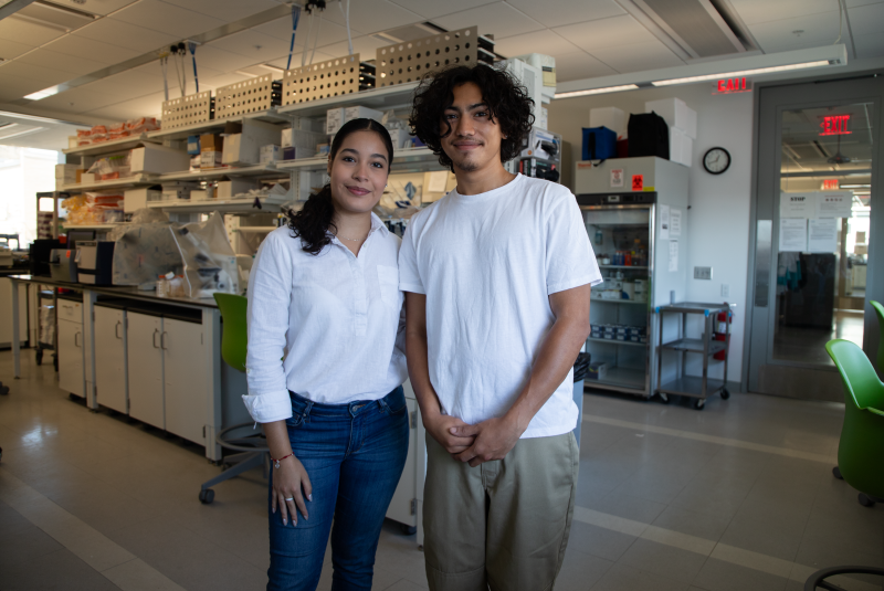 Undergraduate Research Assistants